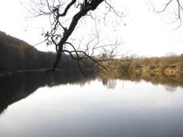 Rybník Prostřední 20.11.09 (1).jpg